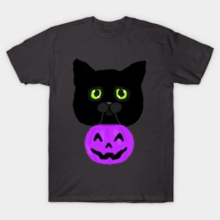 Treats for Kitty? (Purple) T-Shirt